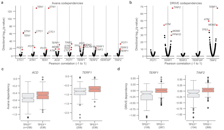 Figure 2—figure supplement 2.