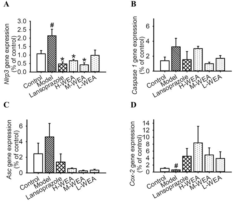 Figure 6.