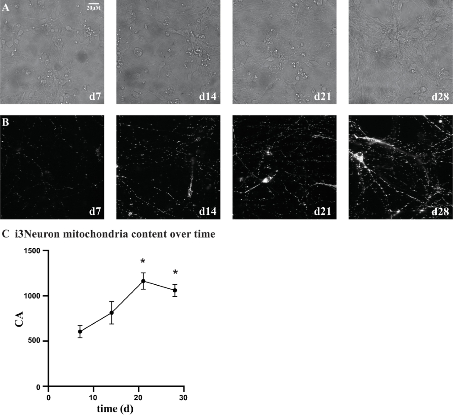 Figure 4.