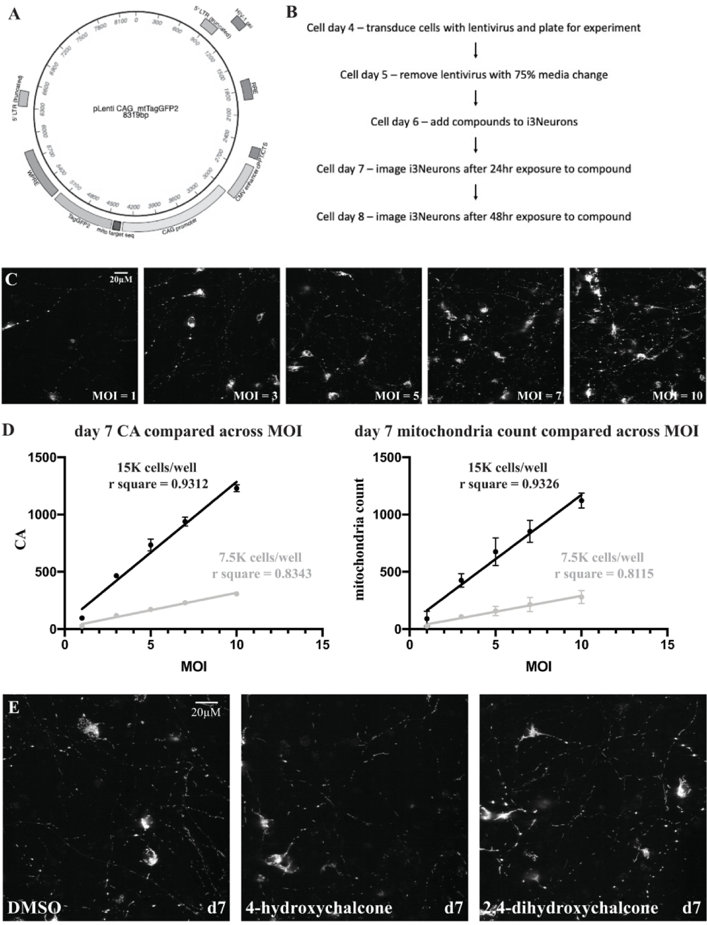 Figure 2.