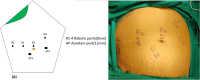 Fig. 1