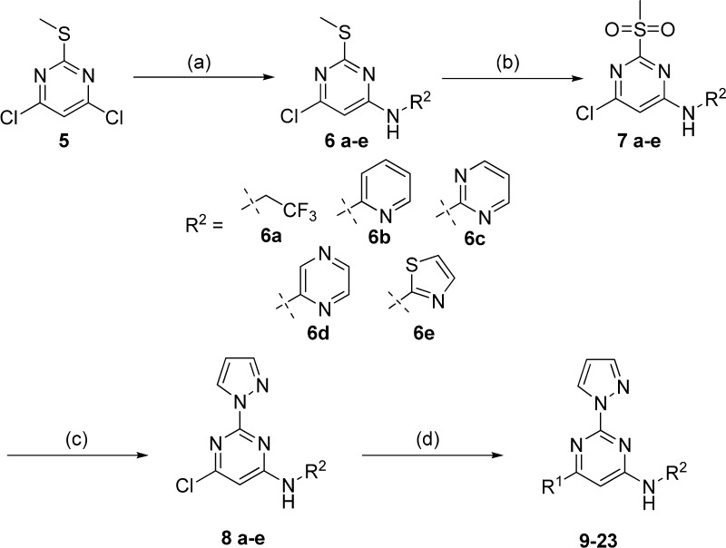 Scheme 1