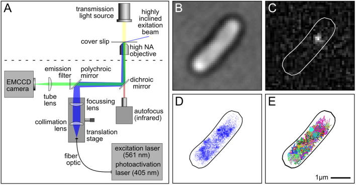 Fig. 2