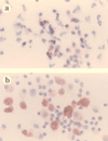 FIG. 7