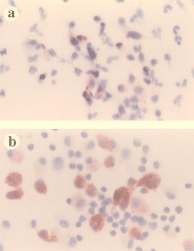 FIG. 7