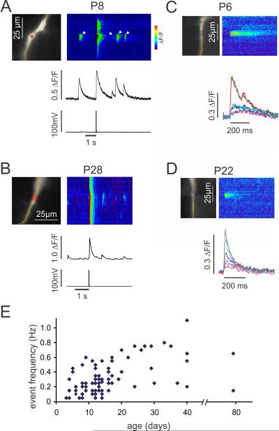 Fig.1