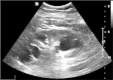 Fig. 1.