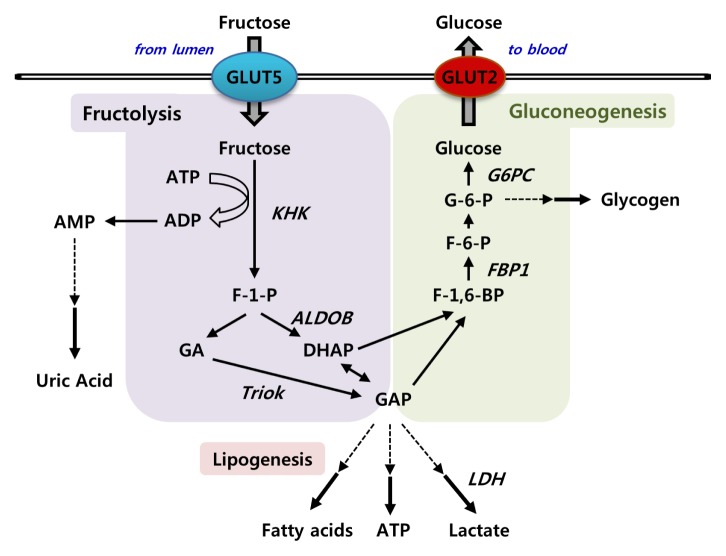 Fig. 2