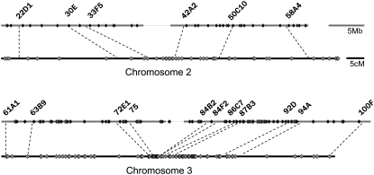 Figure 2.—