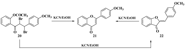 Scheme 5