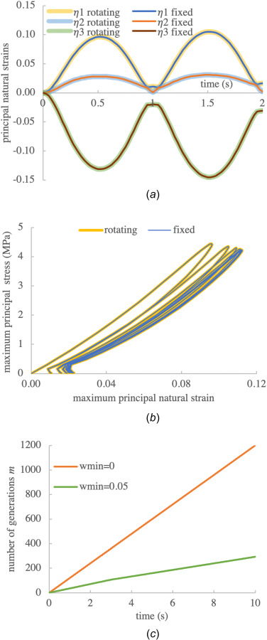 Verification of frame indifference for an orthotropic fibrous material subjected to cyclical stress, comparing outcomes between a cubic material domain with fixed versus rotating substrates. (a) Comparison of principal natural strains over two cycles of loading. (b) Comparison of maximum principal stress versus maximum principal strain for ten cycles of loading, showing a distinct preconditioning response. (c) The number of generations for two different values of wmin. All results are shown for the central element of a cubic mesh with 3×3×3 elements. The cycle period was 1 s and the time increment was set to 0.025 s (40 time increments per cycle).