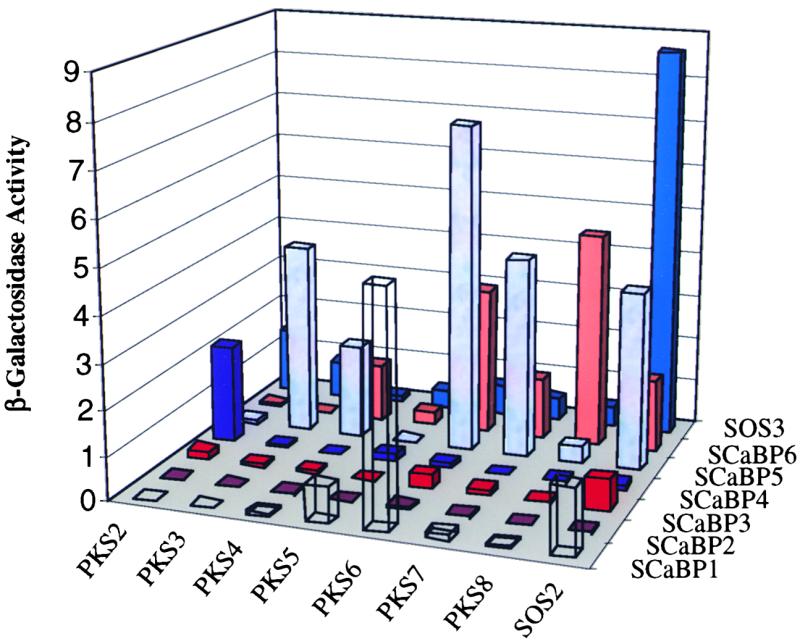 Figure 6.