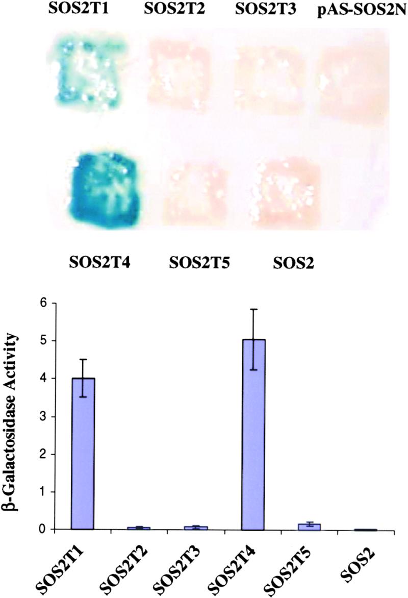 Figure 7.