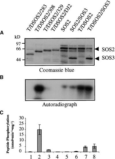 Figure 10.