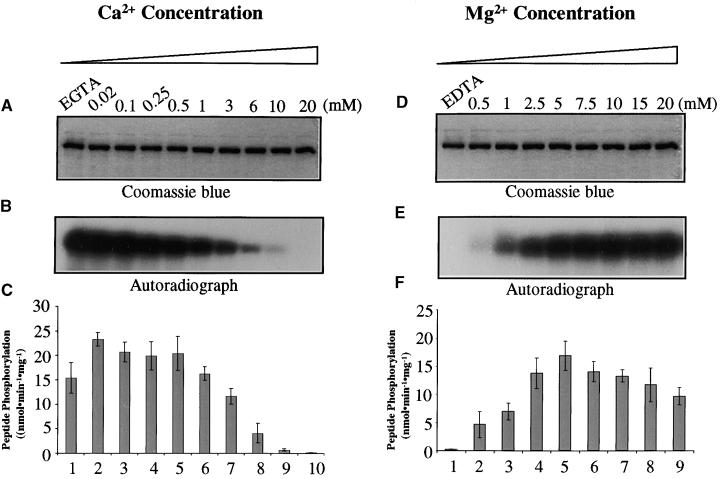 Figure 11.