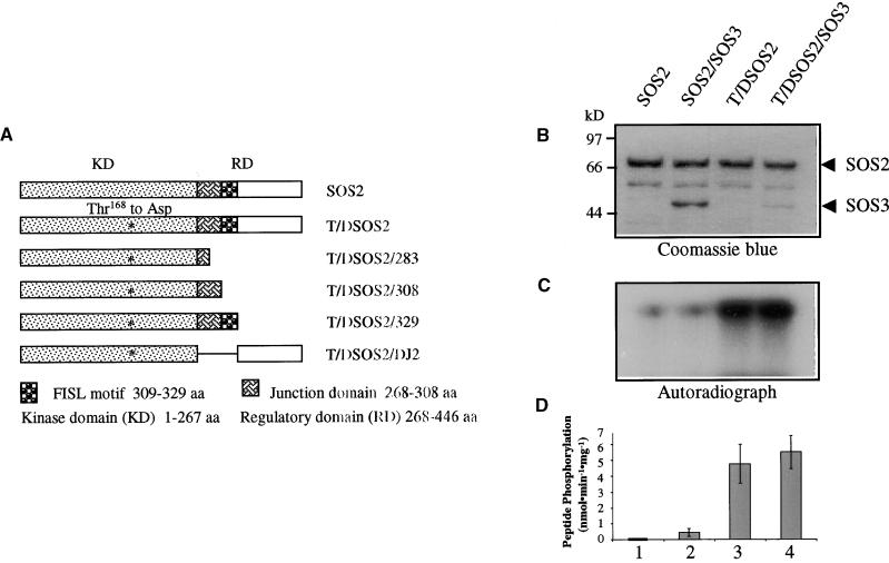 Figure 9.