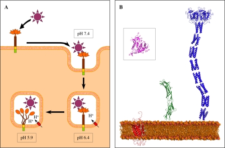 FIGURE 10.