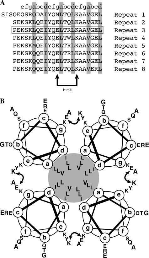 FIGURE 9.