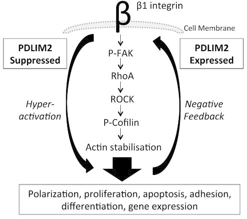 Figure 6