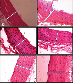 [Table/Fig-8]: