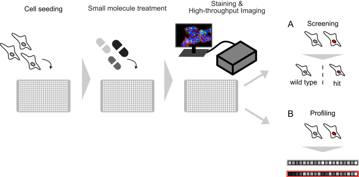 Figure 1