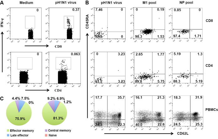 FIG 3 