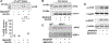 Figure 5: