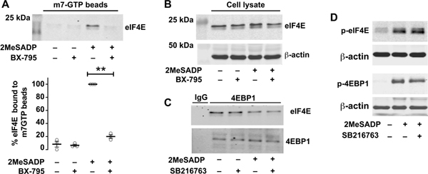 Figure 5: