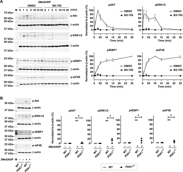 Figure 4: