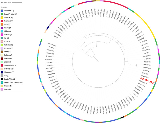 Fig. 3