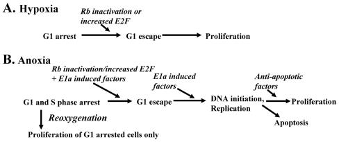 FIG. 9.