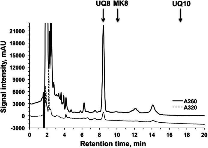 FIGURE 3.