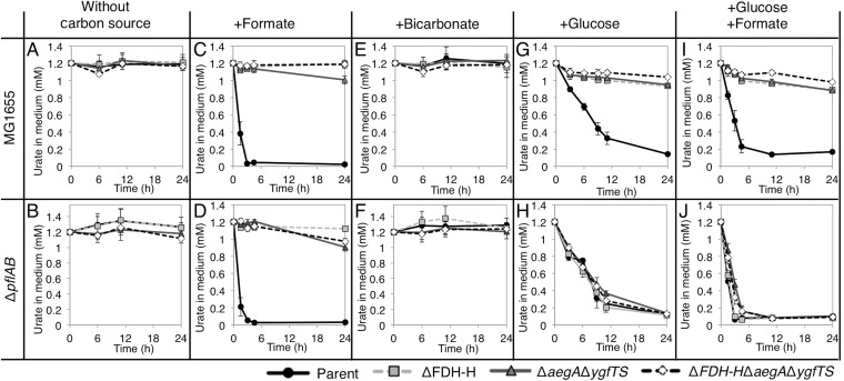 FIG 6