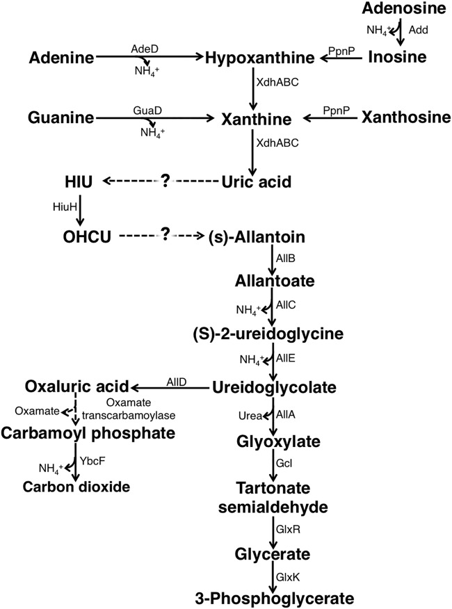 FIG 1