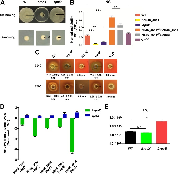 FIG 6