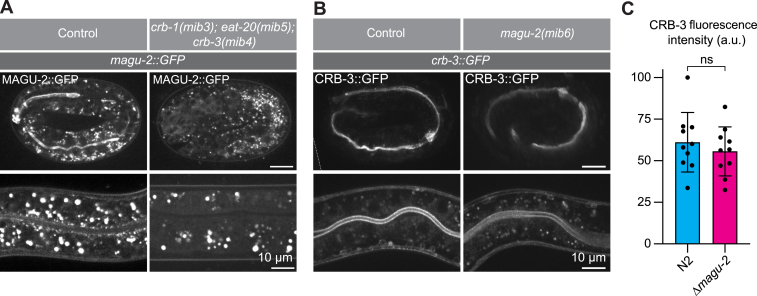 Figure 4