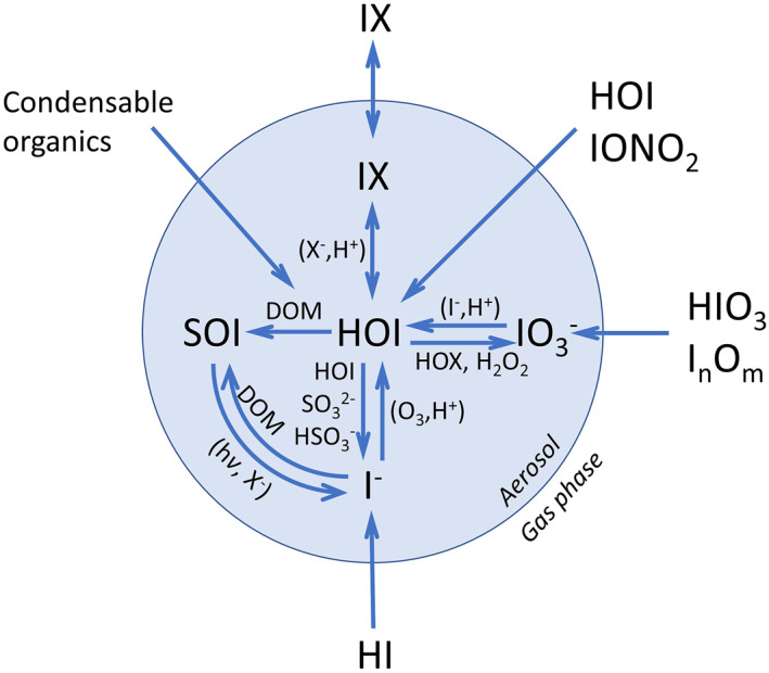 Figure 7