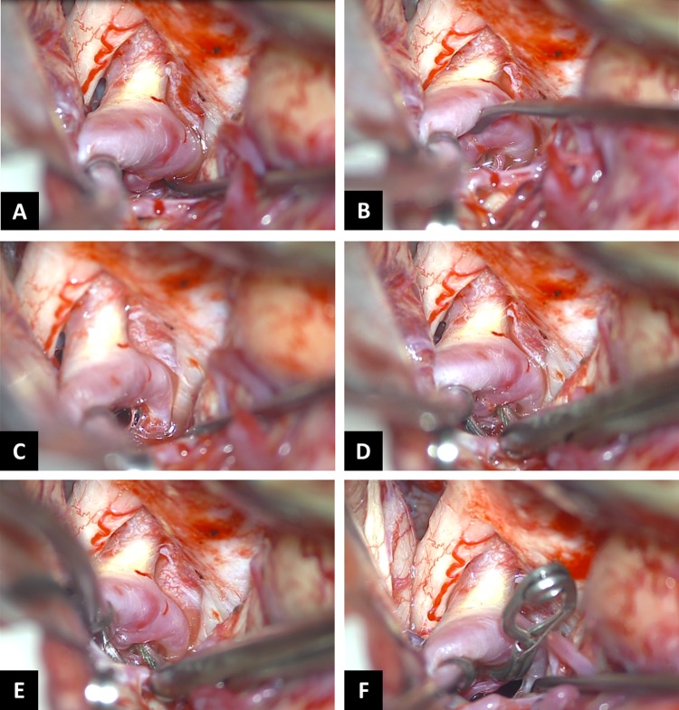 Figure 2