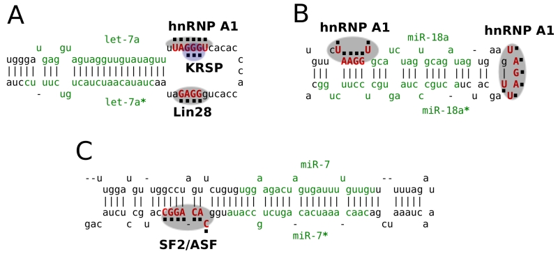 Fig. (3)