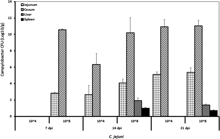 Figure 3