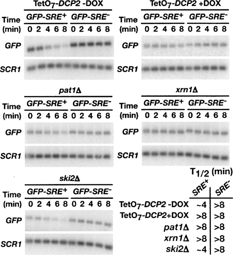 FIGURE 4.