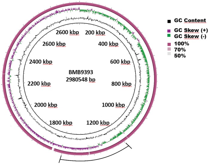 Fig. 1.—