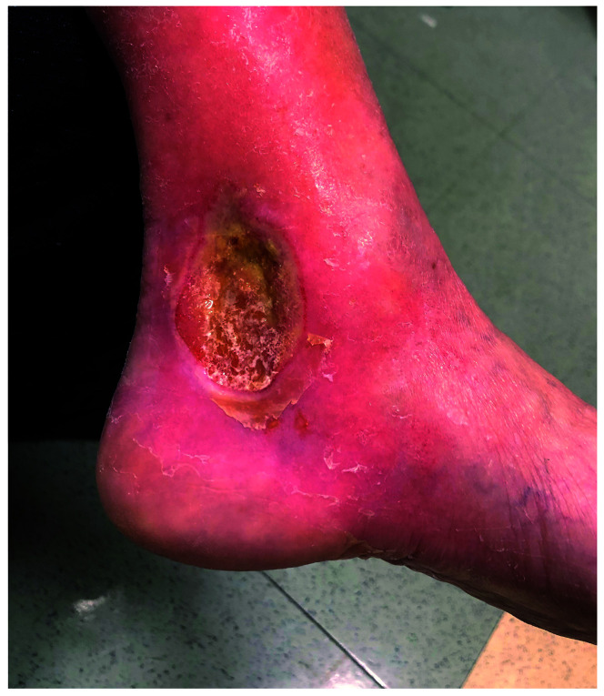 Figure 2.