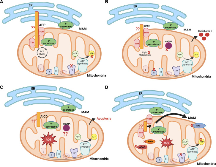 Figure 2.