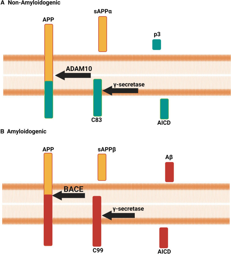 Figure 1.