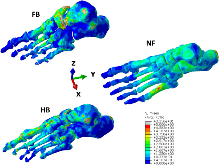 FIGURE 7