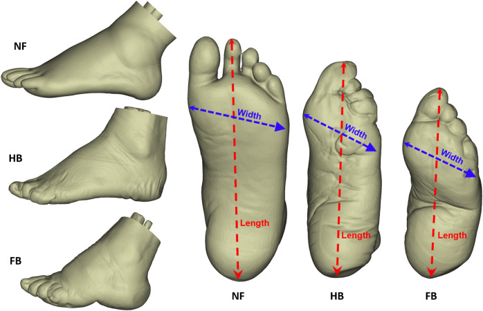 FIGURE 1