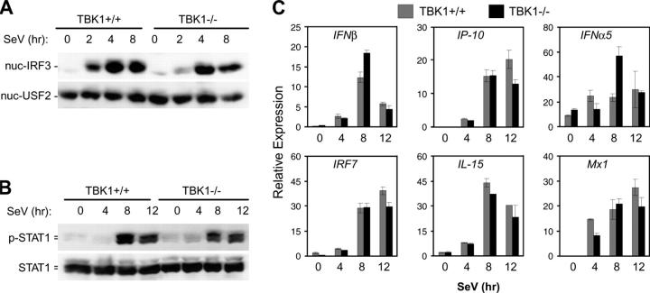 Figure 4.