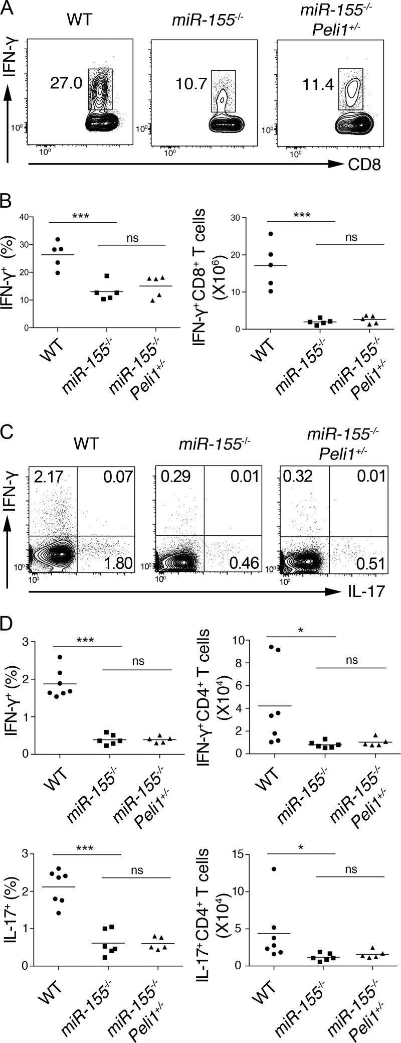 Figure 9.