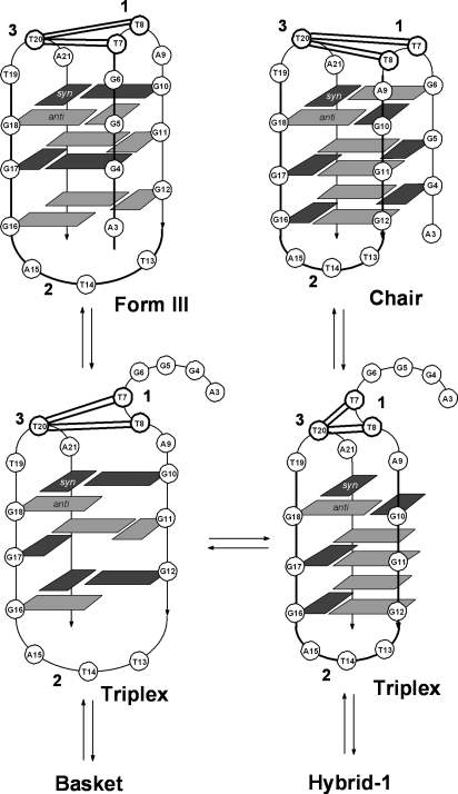 Fig. 5.